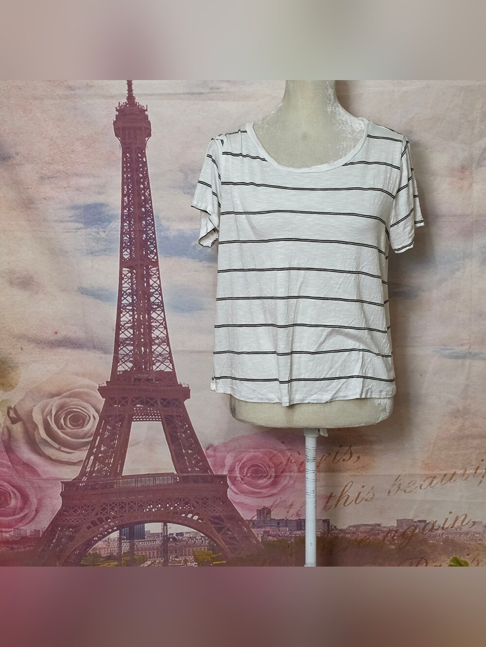 Green Envelope White Short-Sleeve Tee with Black Stripes